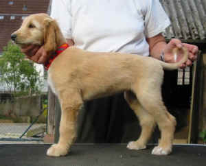 ShirinAbholung.JPG (36831 Byte)