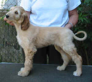 Sunrise4.JPG (31119 Byte)