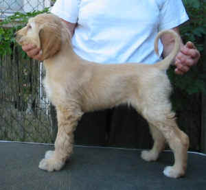 Sunrise 2.JPG (34037 Byte)