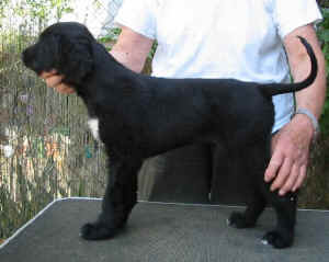 SandokhanR2.JPG (39688 Byte)