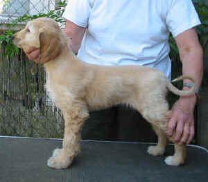 Sunrise3.JPG (36650 Byte)