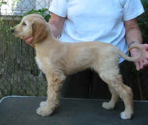 Sunrise.JPG (35391 Byte)