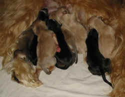 1Tag7.JPG (42917 Byte)