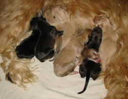 1 Tag alt2.JPG (58417 Byte)