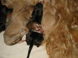 1 Tag alt3.JPG (94435 Byte)