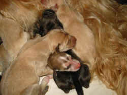 1 Tag alt4.JPG (74551 Byte)