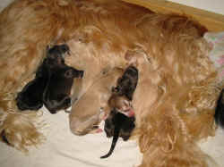 1 Tag alt.JPG (94247 Byte)