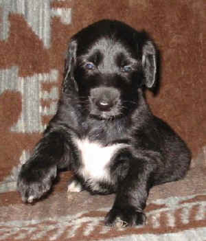 4WoSandokhan2.JPG (28080 Byte)