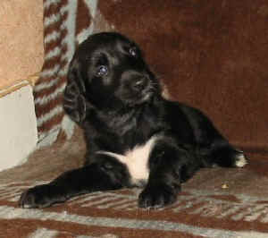 4WoSandokhan3.JPG (22569 Byte)