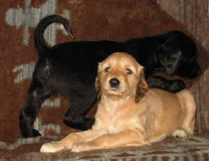 4WoSandokhanuBruder.JPG (31026 Byte)