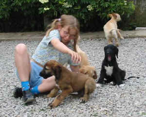 FunFoto11.JPG (34395 Byte)