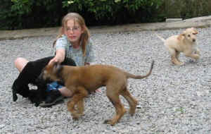 FunFoto12.JPG (40714 Byte)