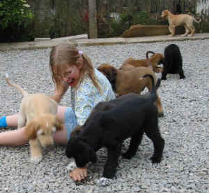 FunFoto7.JPG (56354 Byte)