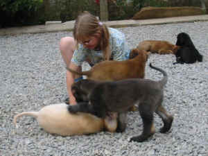 FunFoto8.JPG (43479 Byte)