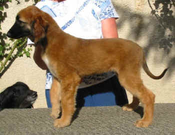 m1-10.JPG (48114 Byte)