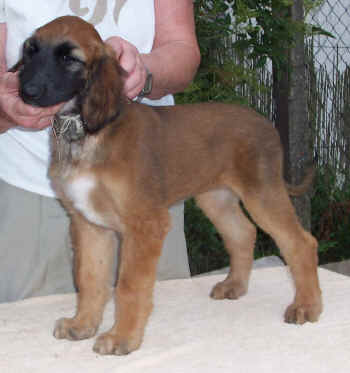 m1-6.JPG (67753 Byte)