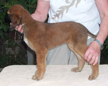 m1-7.JPG (47454 Byte)