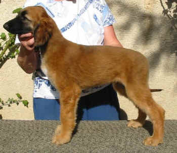 m1-8.JPG (46650 Byte)