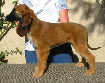 m1-9.JPG (48133 Byte)