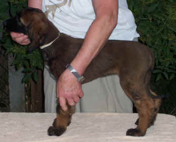 m2-1.JPG (52734 Byte)