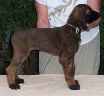 m2-2.JPG (60001 Byte)