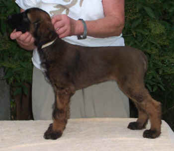 m2-3.JPG (44120 Byte)