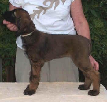 m2-4.JPG (50455 Byte)