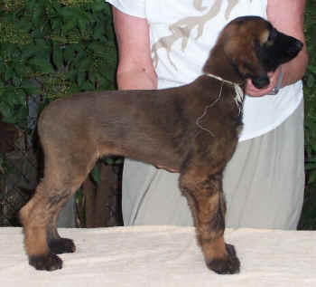 m2-5.JPG (70808 Byte)