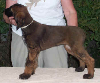 m2-6.JPG (56311 Byte)