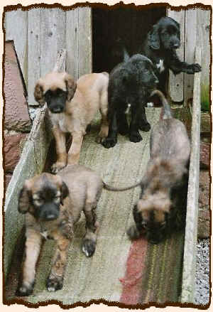 6Wochen3.JPG (105375 Byte)