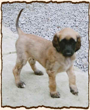 6WochenR2.JPG (111168 Byte)