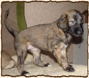 5WochenHue.JPG (47862 Byte)