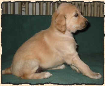 Hell 4 W 3.JPG (41788 Byte)