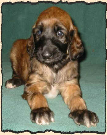 Rot 4 W 2.JPG (52040 Byte)