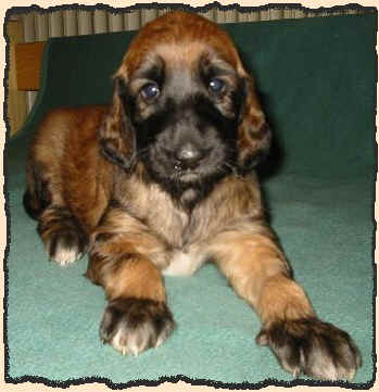 Rot 4 W 3.JPG (45931 Byte)