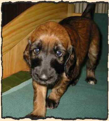 Rot 4 W 5.JPG (43355 Byte)