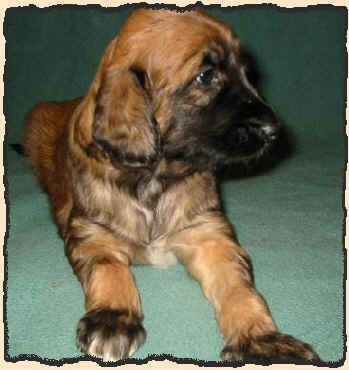 Rot 4 W 6.JPG (44735 Byte)