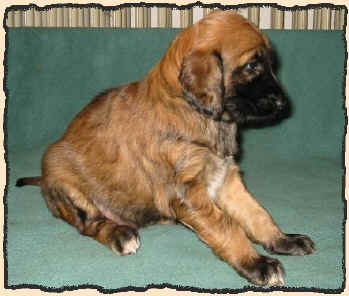 Rot 4 W.JPG (56661 Byte)