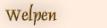 aus dem aktuellen Wurf