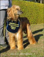 HeckeDhukaa.jpg (36261 Byte)