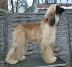 Parvati-02-2005.JPG (36648 Byte)