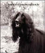 Vishnu.JPG (13891 Byte)