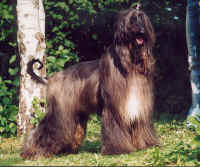 yuman-22.JPG (38171 Byte)