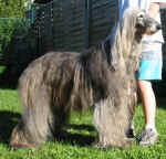 Basmati 3.JPG (34767 Byte)