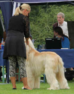 Mamm .jpg (60151 Byte)