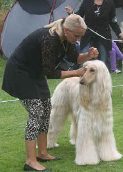 Mammendorf .jpg (21494 Byte)