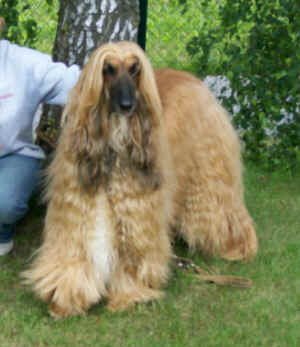 Rennplatz .jpg (83562 Byte)