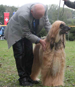 VET BOB BIS F 2012.jpg (72302 Byte)