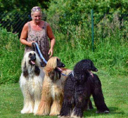 Yvonne und die 3.jpg (54639 Byte)