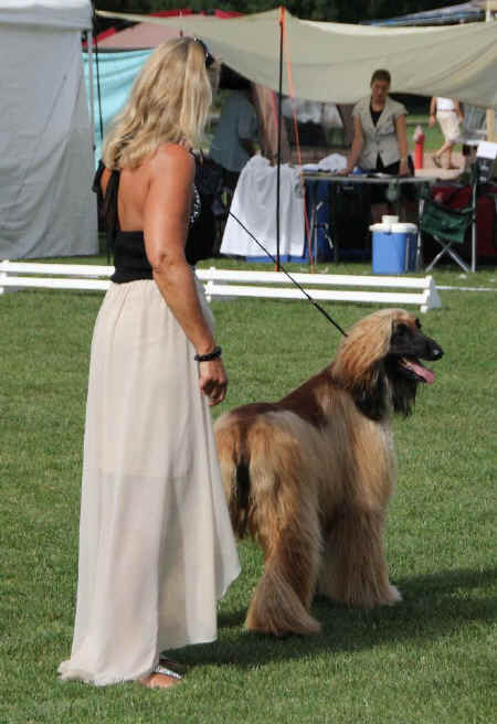 19.jpg (98909 Byte)